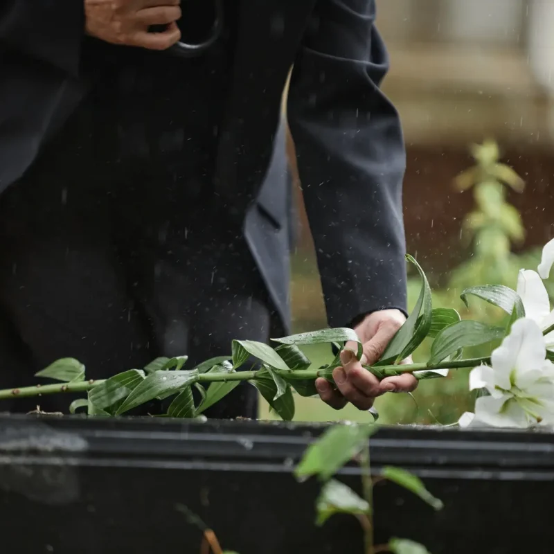 Hand of Woman Laying White Lilies on Gravestone under Rain at Cemetery